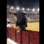 Toro de 508 kilos salta dos veces a las gradas y provoca momentos de tensión