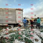 Tráiler con bebidas energéticas sufre volcadura en La Carbonera