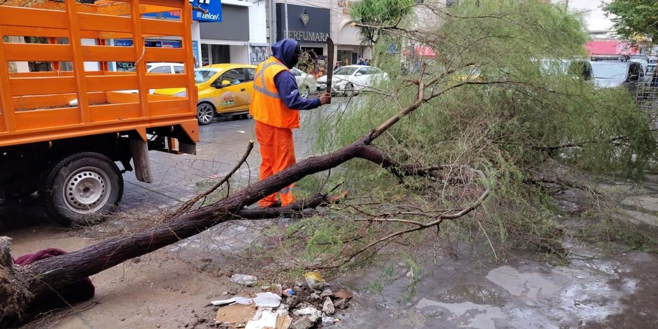 Torreón atiende reportes en zonas afectadas por lluvias
