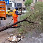 Torreón atiende reportes en zonas afectadas por lluvias