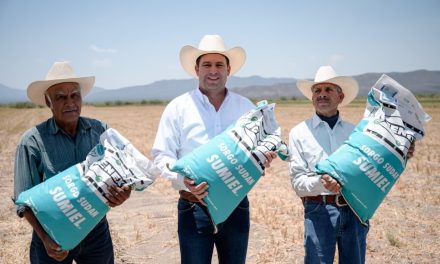 Entregan Municipio y Estado más de 80 toneladas de semilla forrajera