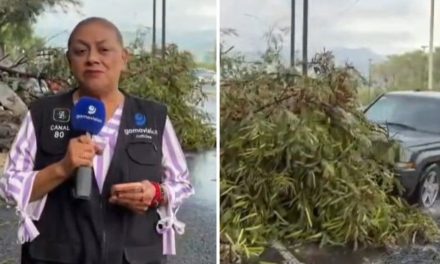 Reportera y camarógrafo son atropellados en vivo durante cobertura de intensas lluvias en Monterrey