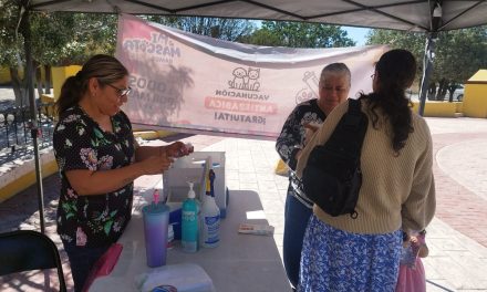 Se han realizado más de 900 esterilizaciones gratuitas en Ramos Arizpe