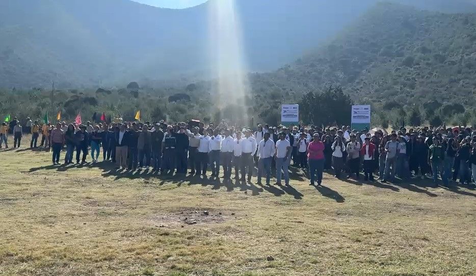 Reforestan 625 árboles en el Cañón de San Lorenzo