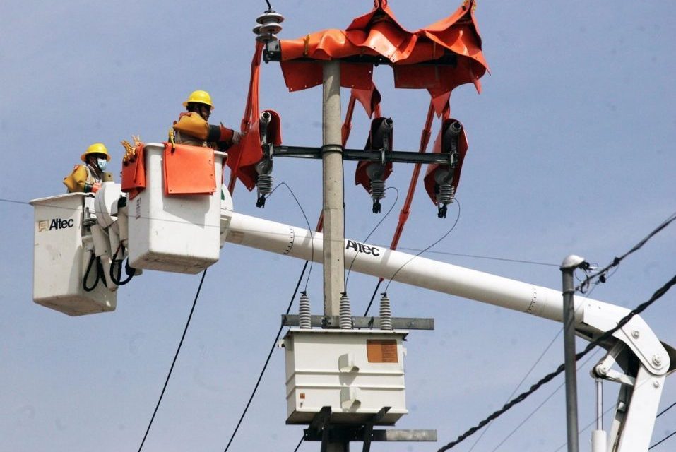 CFE prevé cerrar 2026 con superávit y amplía capacidad de generación