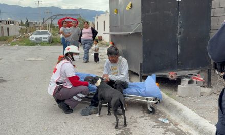 Hombre termina con una lesión en la cabeza tras sufrir caída en Saltillo