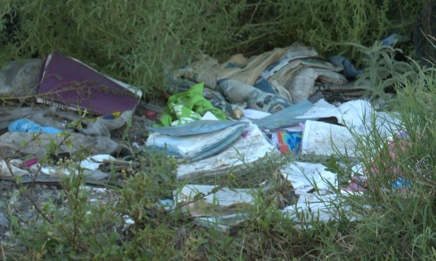 Lote baldío está más sucio que el relleno sanitario, ubicado en la colonia Landín