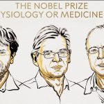 Creadores de la optogenética reciben el Premio Nobel de Medicina 2026
