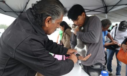 Realizan con éxito la Feria del Bienestar Animal en Parque Centro